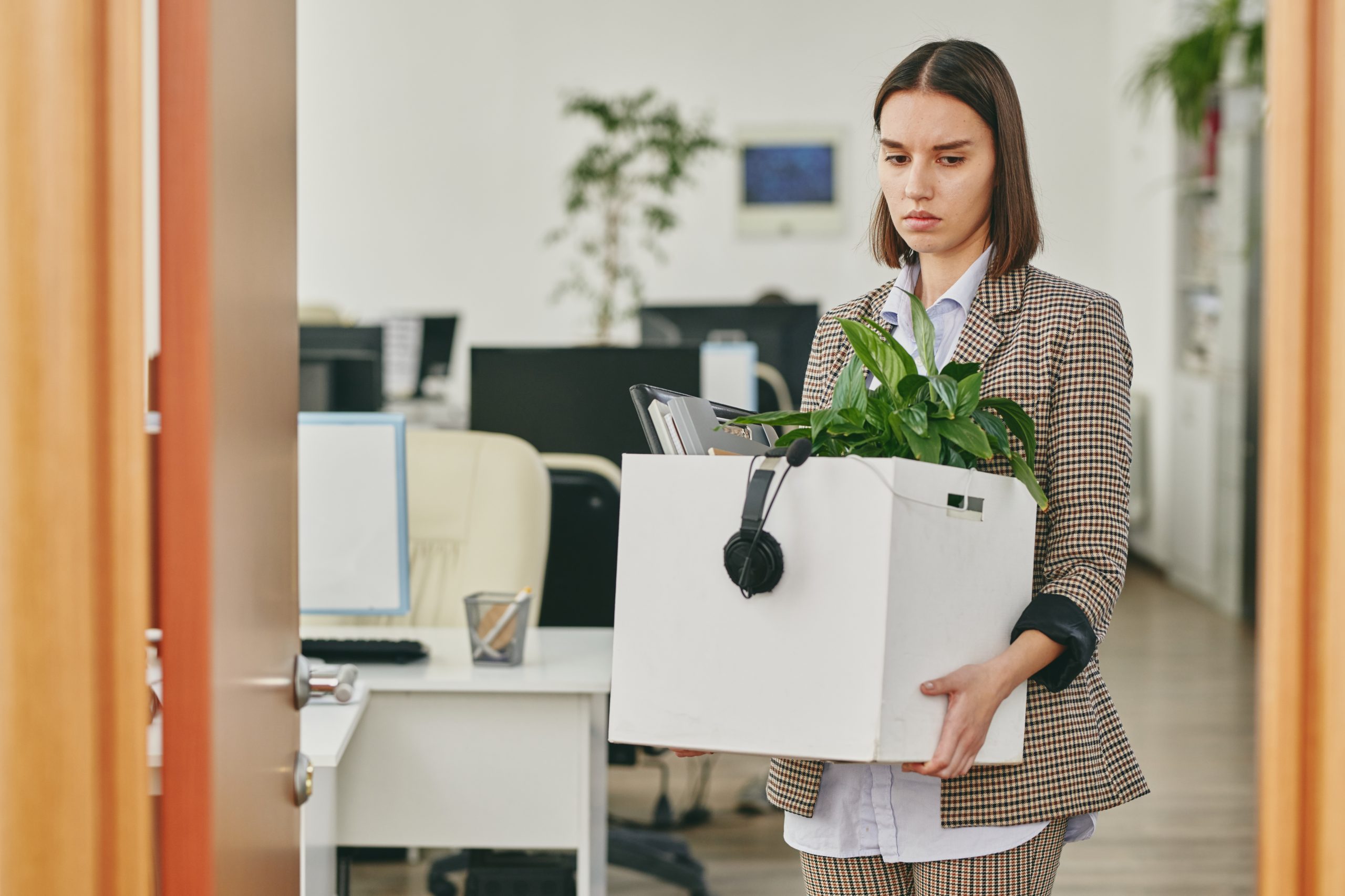 You’ve lost your job, now what? - rubybox